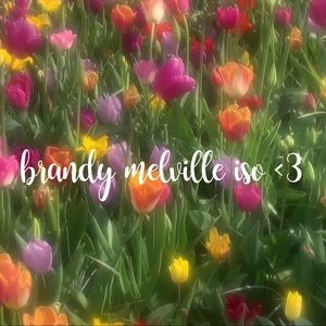 BRANDY MELVILLE ISO <3